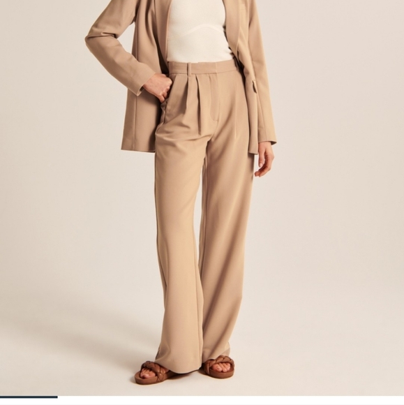 Abercrombie and Fitch Sloane Tailored Pant - Picture 1 of 4